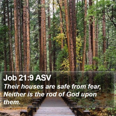 Job 21:9 ASV Bible Verse Image