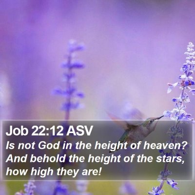 Job 22:12 ASV Bible Verse Image