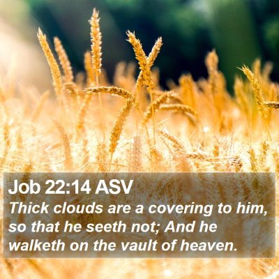 Job 22:14 ASV Bible Verse Image