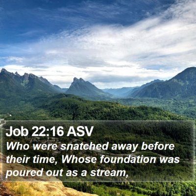 Job 22:16 ASV Bible Verse Image