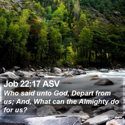 Job 22:17 ASV Bible Verse Image