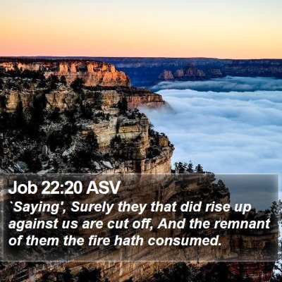 Job 22:20 ASV Bible Verse Image