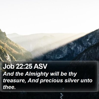 Job 22:25 ASV Bible Verse Image
