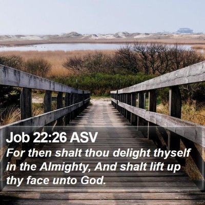 Job 22:26 ASV Bible Verse Image