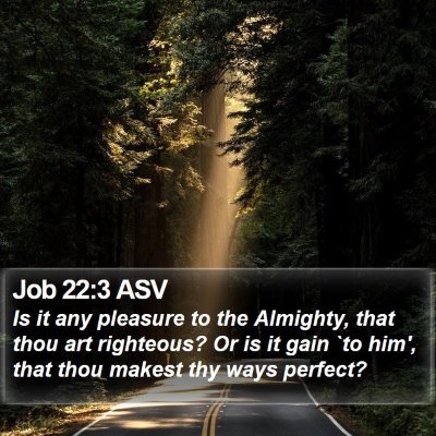 Job 22:3 ASV Bible Verse Image