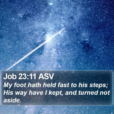 Job 23:11 ASV Bible Verse Image
