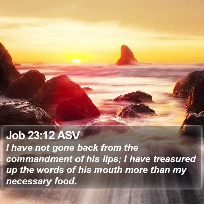 Job 23:12 ASV Bible Verse Image