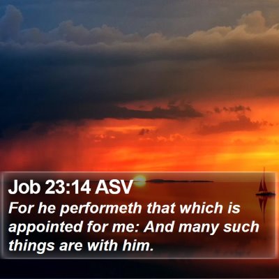Job 23:14 ASV Bible Verse Image
