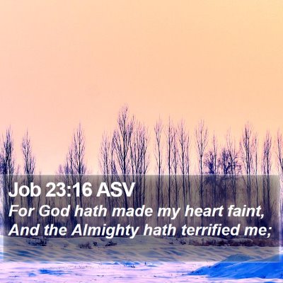 Job 23:16 ASV Bible Verse Image