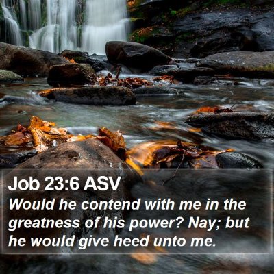 Job 23:6 ASV Bible Verse Image