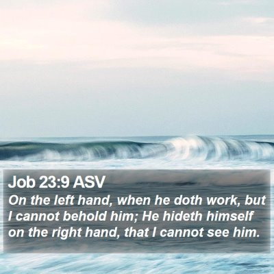 Job 23:9 ASV Bible Verse Image