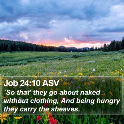 Job 24:10 ASV Bible Verse Image