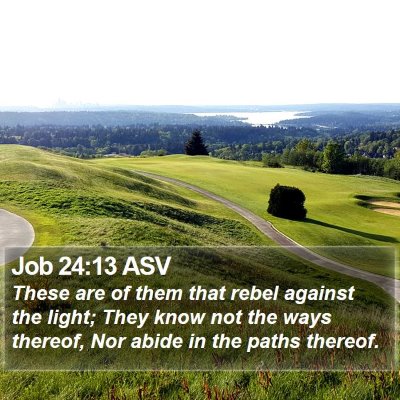 Job 24:13 ASV Bible Verse Image