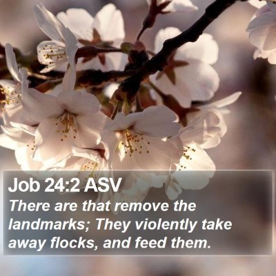 Job 24:2 ASV Bible Verse Image
