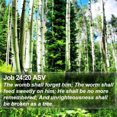 Job 24:20 ASV Bible Verse Image
