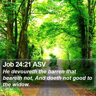 Job 24:21 ASV Bible Verse Image