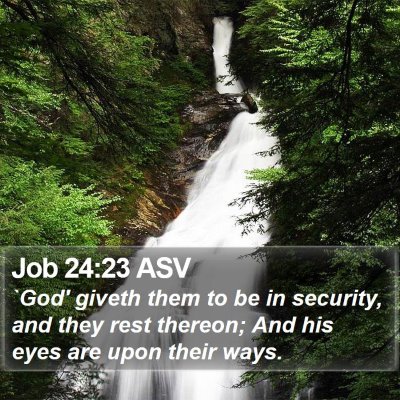 Job 24:23 ASV Bible Verse Image