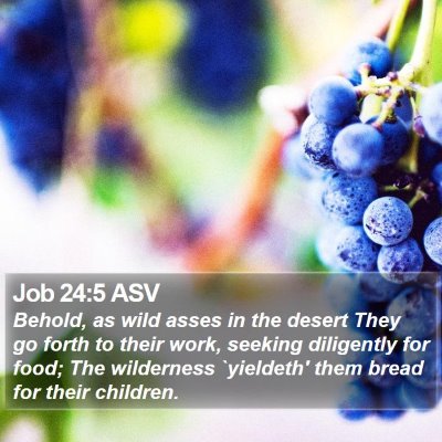 Job 24:5 ASV Bible Verse Image