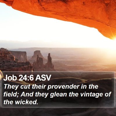 Job 24:6 ASV Bible Verse Image