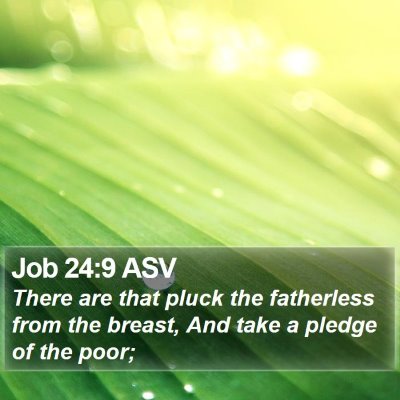 Job 24:9 ASV Bible Verse Image