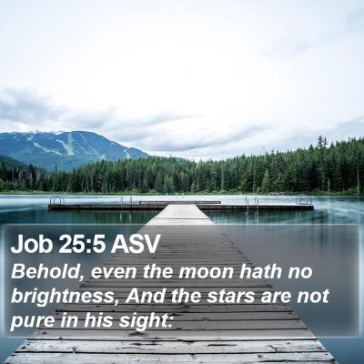 Job 25:5 ASV Bible Verse Image