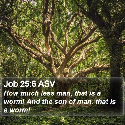 Job 25:6 ASV Bible Verse Image