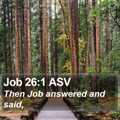 Job 26:1 ASV Bible Verse Image