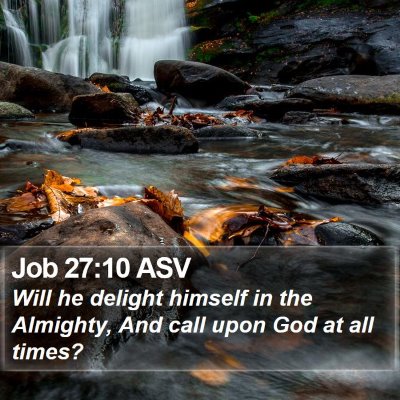 Job 27:10 ASV Bible Verse Image