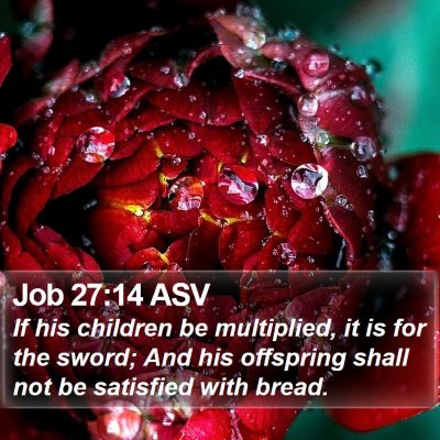 Job 27:14 ASV Bible Verse Image