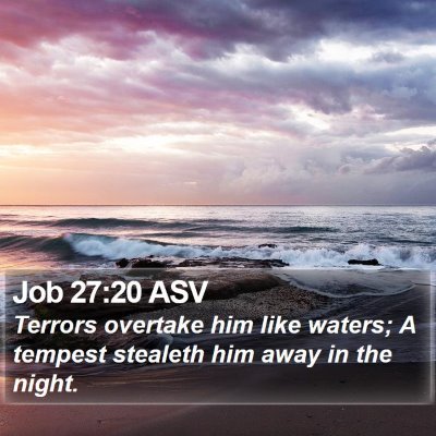 Job 27:20 ASV Bible Verse Image