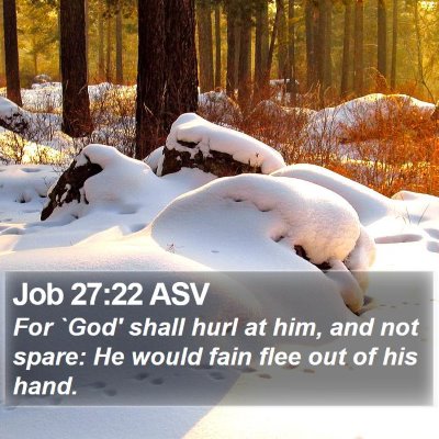 Job 27:22 ASV Bible Verse Image