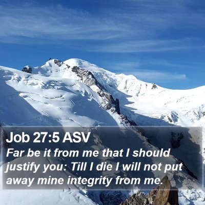 Job 27:5 ASV Bible Verse Image