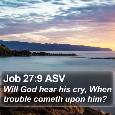 Job 27:9 ASV Bible Verse Image