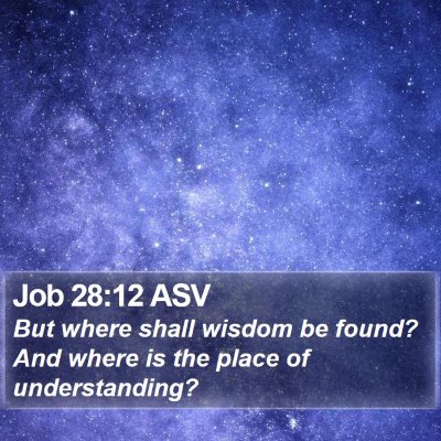 Job 28:12 ASV Bible Verse Image