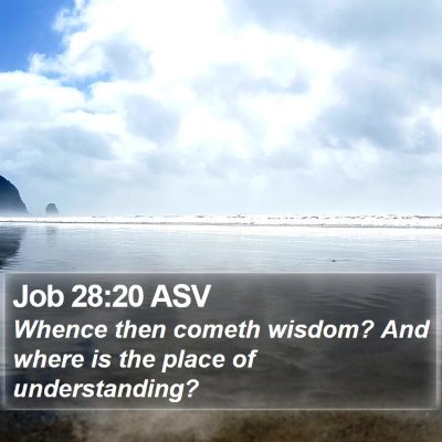 Job 28:20 ASV Bible Verse Image