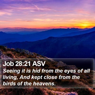Job 28:21 ASV Bible Verse Image