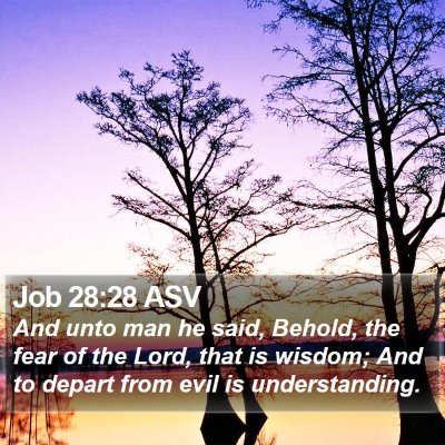 Job 28:28 ASV Bible Verse Image