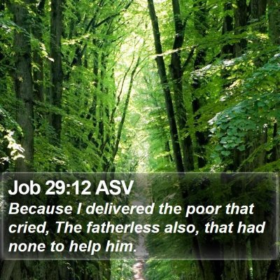 Job 29:12 ASV Bible Verse Image