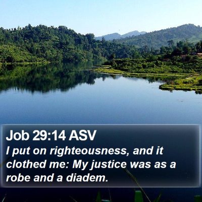 Job 29:14 ASV Bible Verse Image