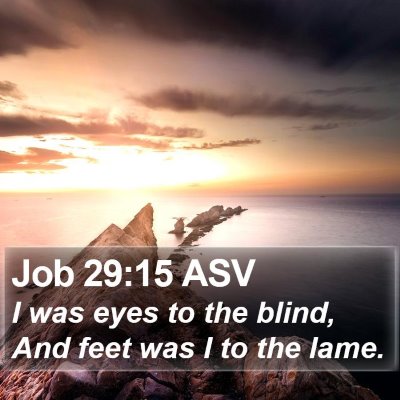 Job 29:15 ASV Bible Verse Image