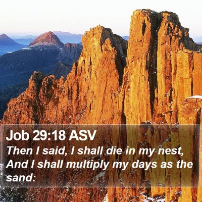 Job 29:18 ASV Bible Verse Image