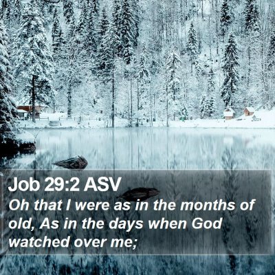 Job 29:2 ASV Bible Verse Image