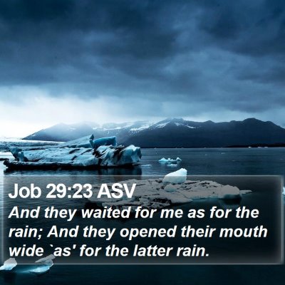Job 29:23 ASV Bible Verse Image