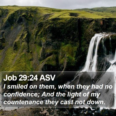 Job 29:24 ASV Bible Verse Image