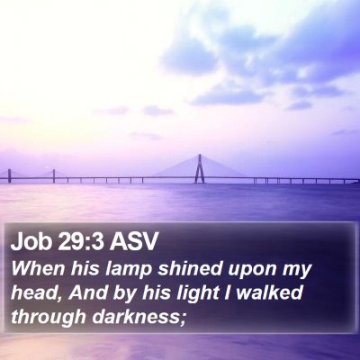 Job 29:3 ASV Bible Verse Image