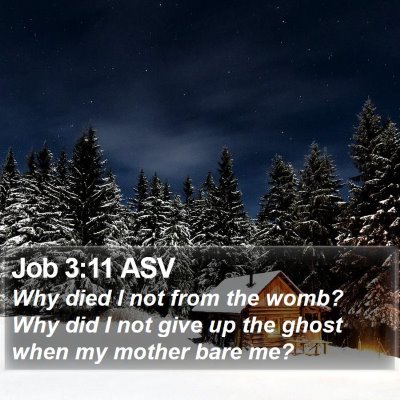 Job 3:11 ASV Bible Verse Image