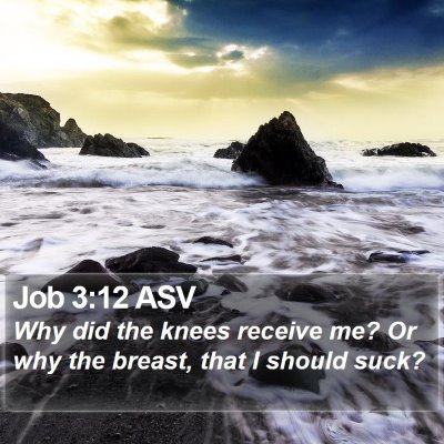 Job 3:12 ASV Bible Verse Image