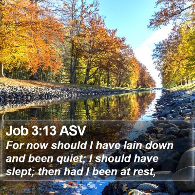 Job 3:13 ASV Bible Verse Image