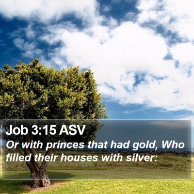 Job 3:15 ASV Bible Verse Image