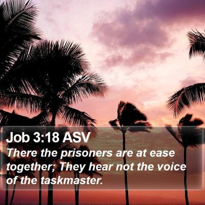 Job 3:18 ASV Bible Verse Image